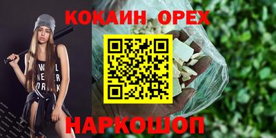 крисы Новодвинск