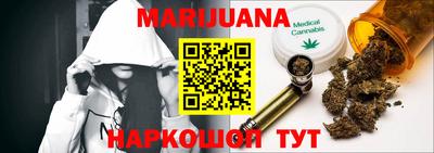 крисы Новодвинск