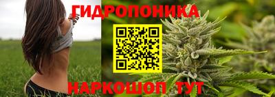 мяу мяу мука Нягань