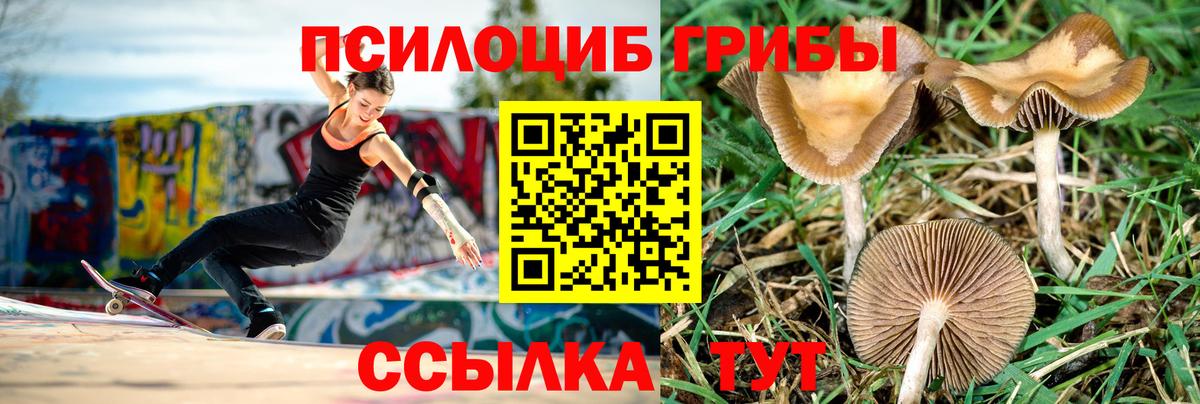 Сорочинск  Галлюциногенные грибы ЛСД  Вход с VPN  где купить наркотик  Галлюциногенные грибы Cubensis 